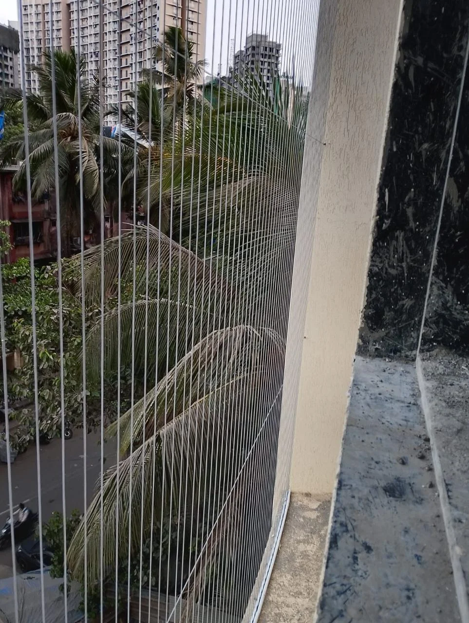 Untitled design (81)